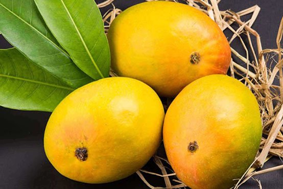Devghad Alphonso Mango