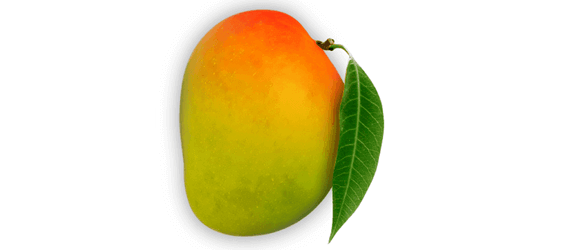 Original Alphonso Mango - prajaagro.com